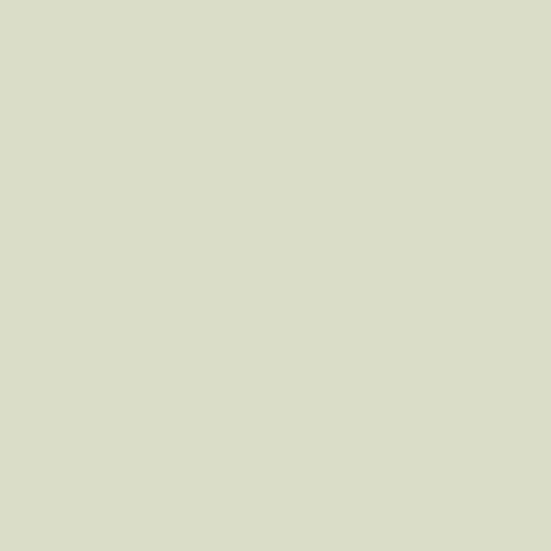 Nº 27 Olive Nocturne
