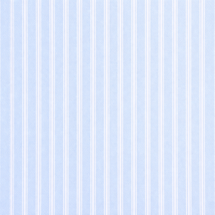 Nº 17 La Vie en Bleu