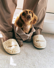 Dore & Rose X Cocopup London Dog PJ