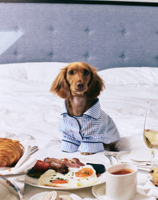 Dore & Rose X Cocopup London Dog PJ