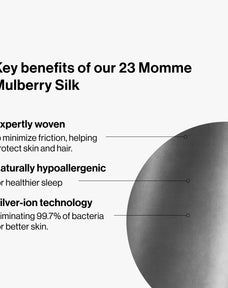 Premium Silk Seidenkissenbezug